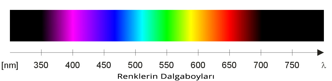 Renk Spektrum